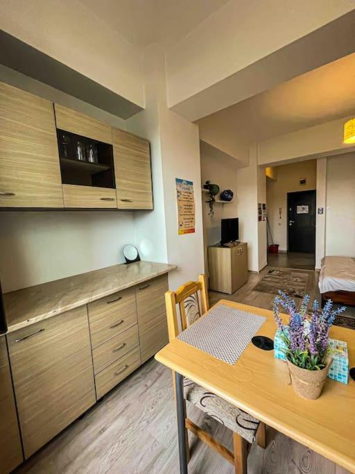 Cazare Iasi Palas Apartment Extérieur photo